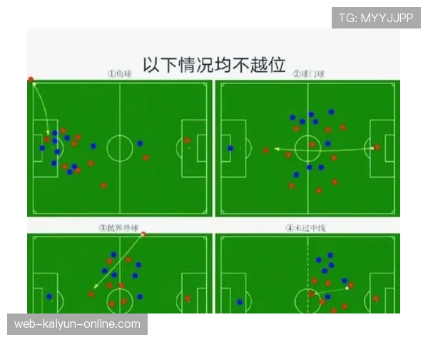 球门球规则详解：判罚标准与执行流程全解析
