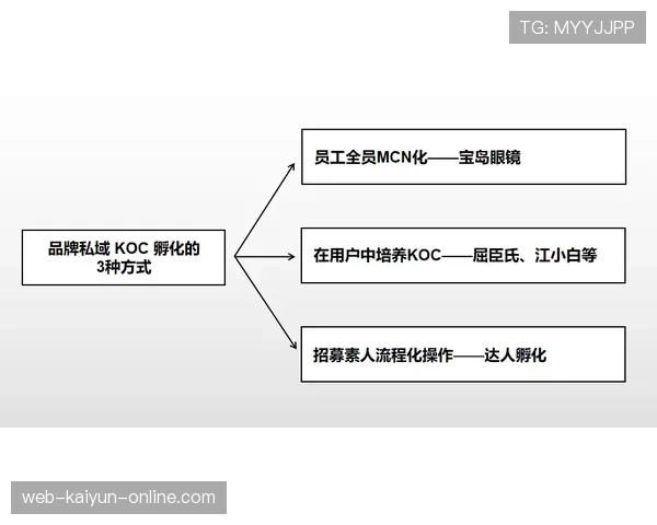 罚球点规则拆解：判定标准和常见误区全解析
