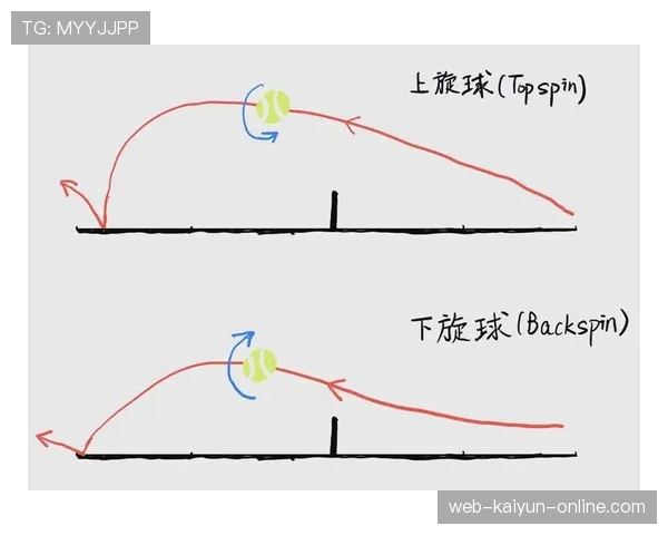 控球权的定义是什么？详细解析其判定规则与应用场景